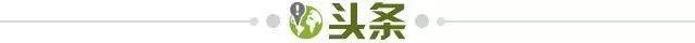 在线试玩-【早报】索帅暂时留任!弗格森DNA保索!